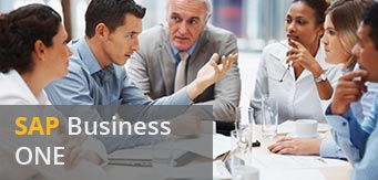 SAP Business ONE: